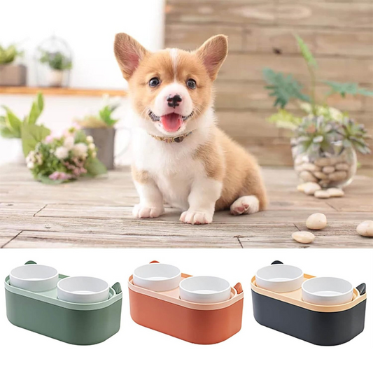 Plato Elevado Doble para Perros Gatos con Base