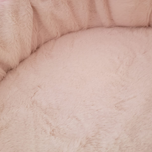 Capsula Cama Transporte para Gato