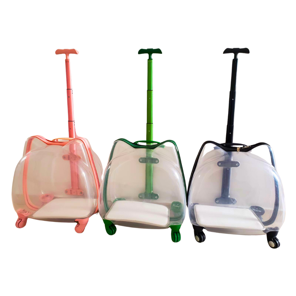 Maleta de Ruedas Transparente Gato en Forma de Gato Calabaza