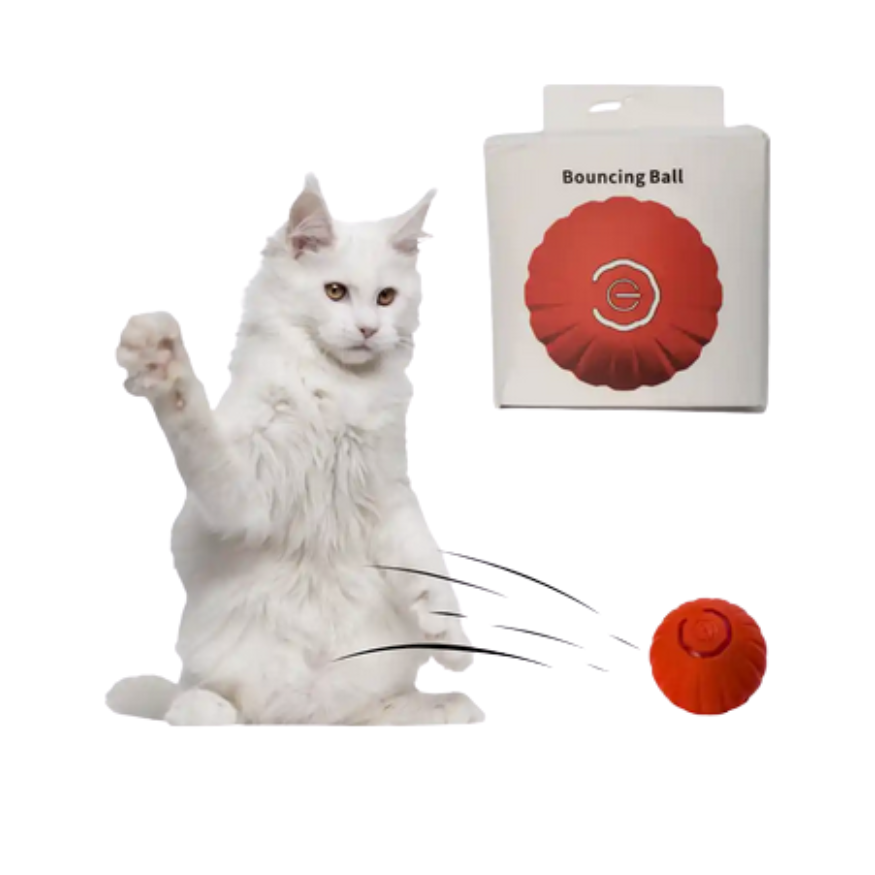 Pelota Autorodante Juguete Para Gatos