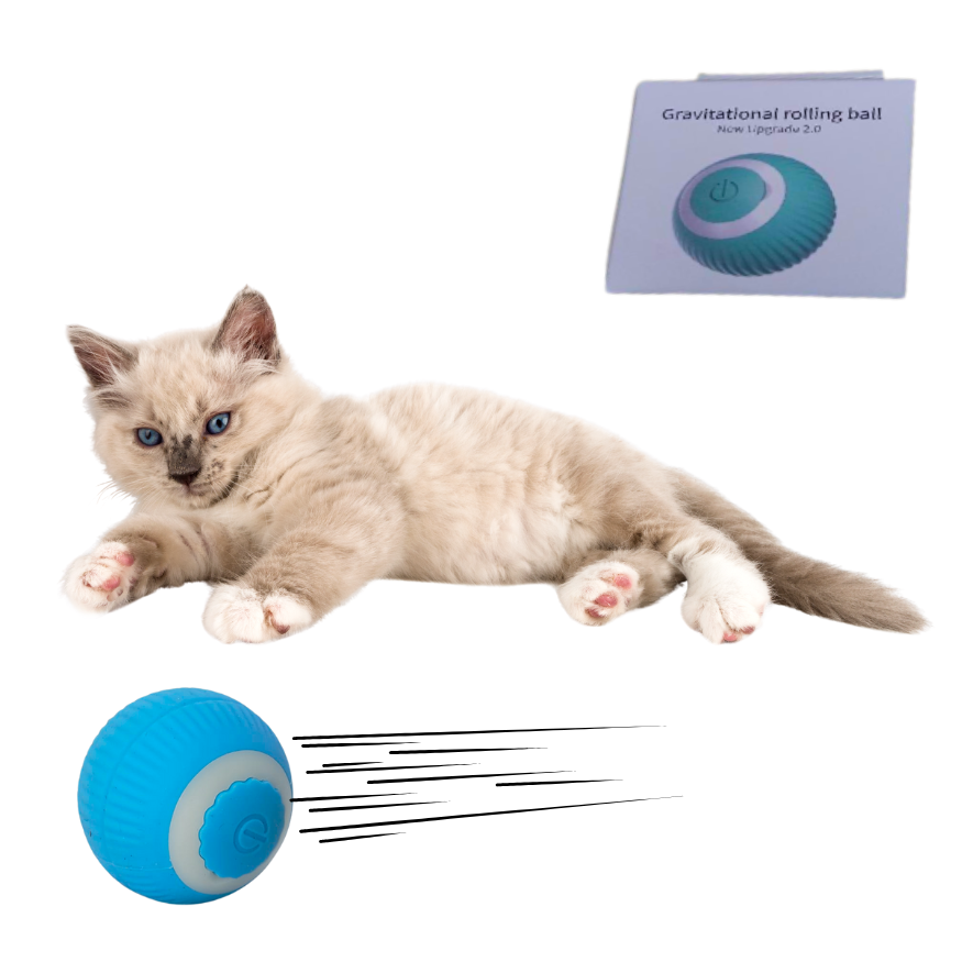 Pelota Rodante Para Gato Recargable Usb