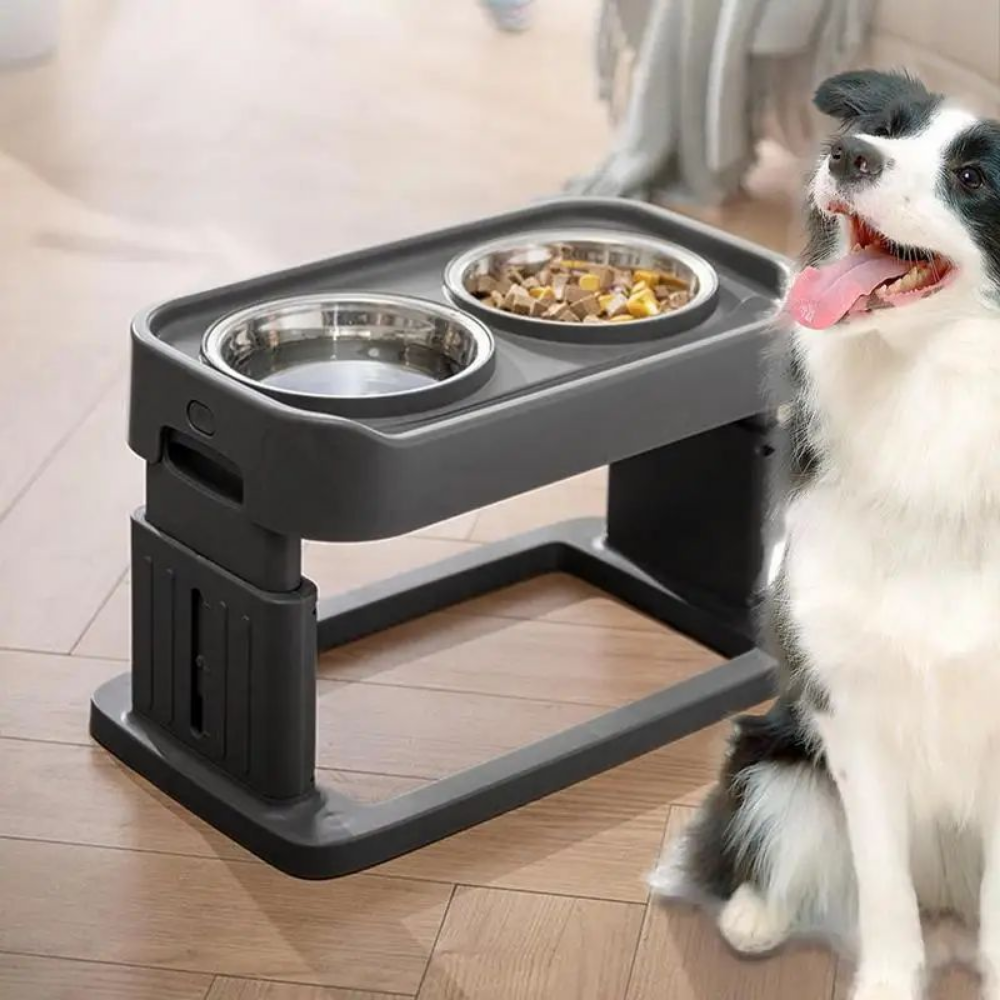 Plato Recipiente De Comida Ajustable Con Cuenco Para Perros