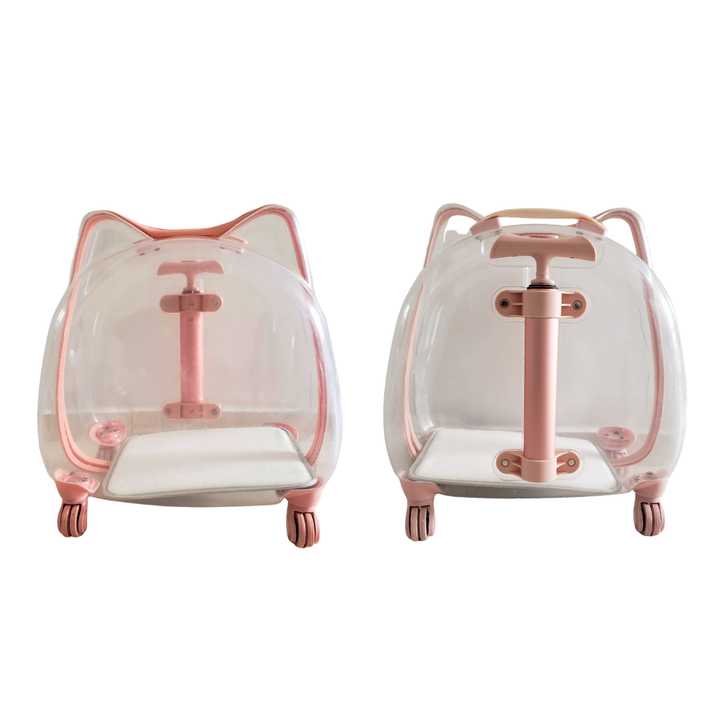Maleta de Ruedas Transparente Gato en Forma de Gato Calabaza