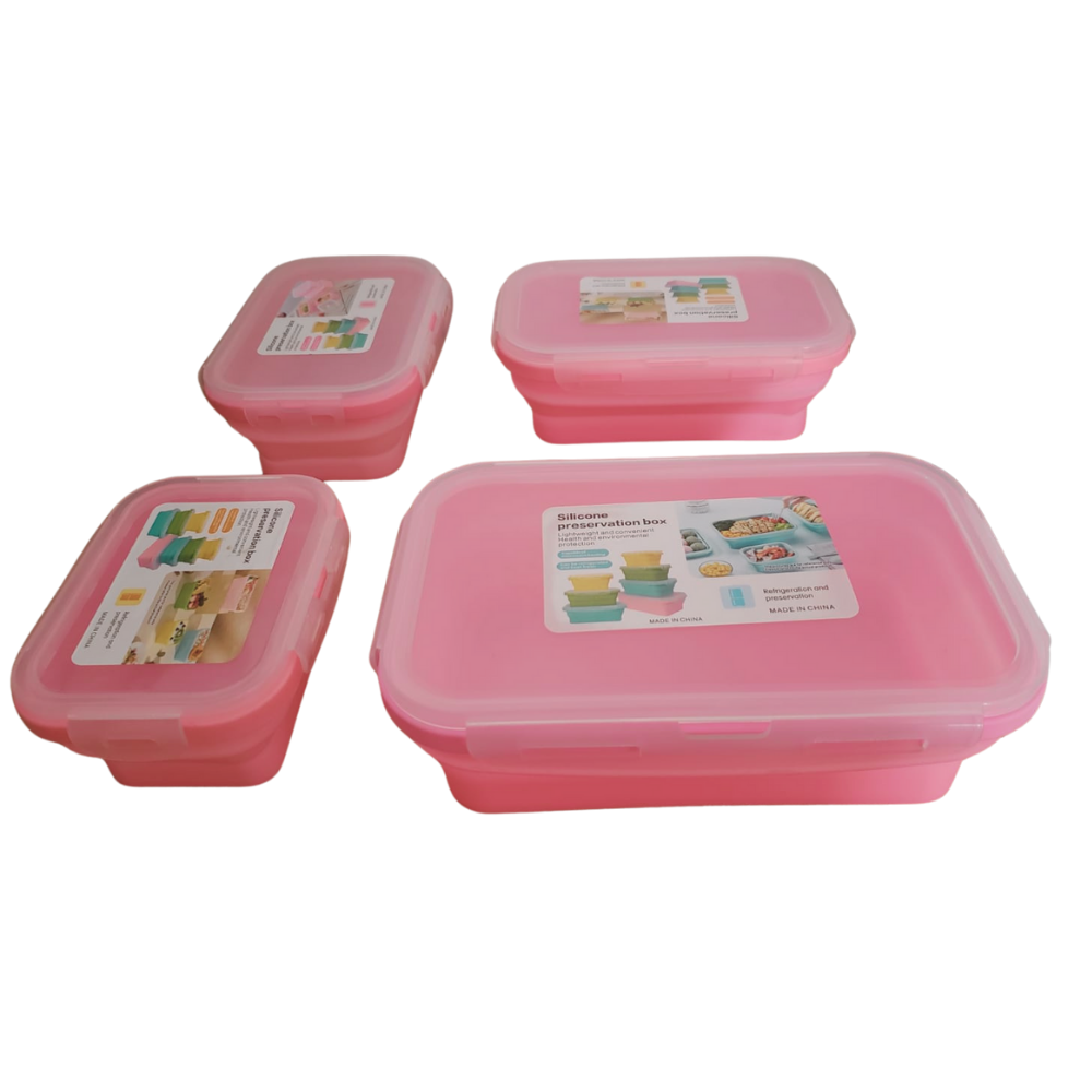 Juego de 4 Recipientes de Almacenamiento de Alimentos Silicona