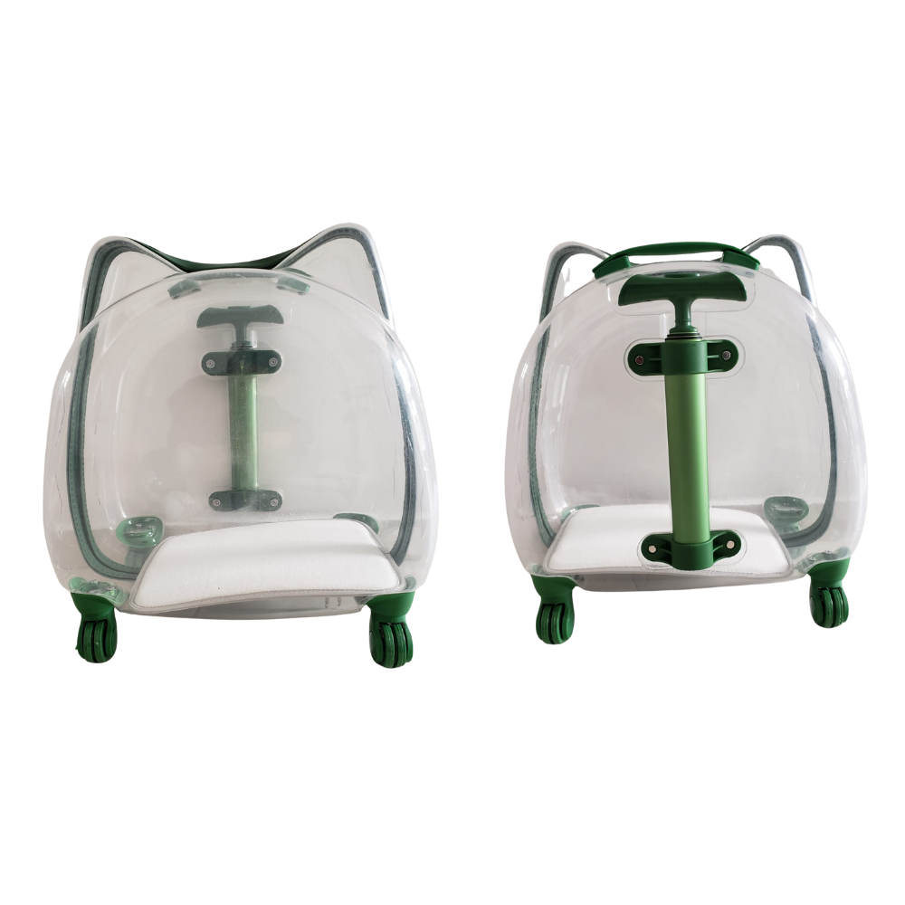 Maleta de Ruedas Transparente Gato en Forma de Gato Calabaza