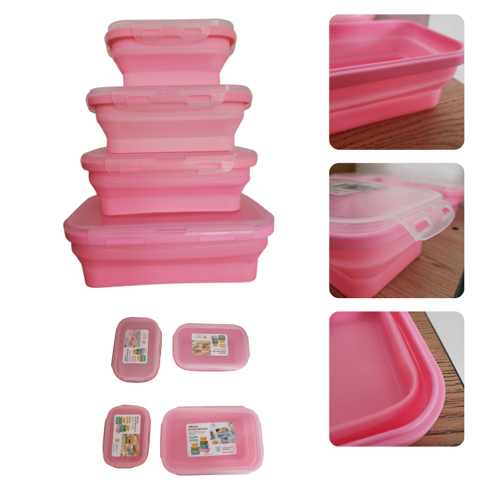 Juego de 4 Recipientes de Almacenamiento de Alimentos Silicona