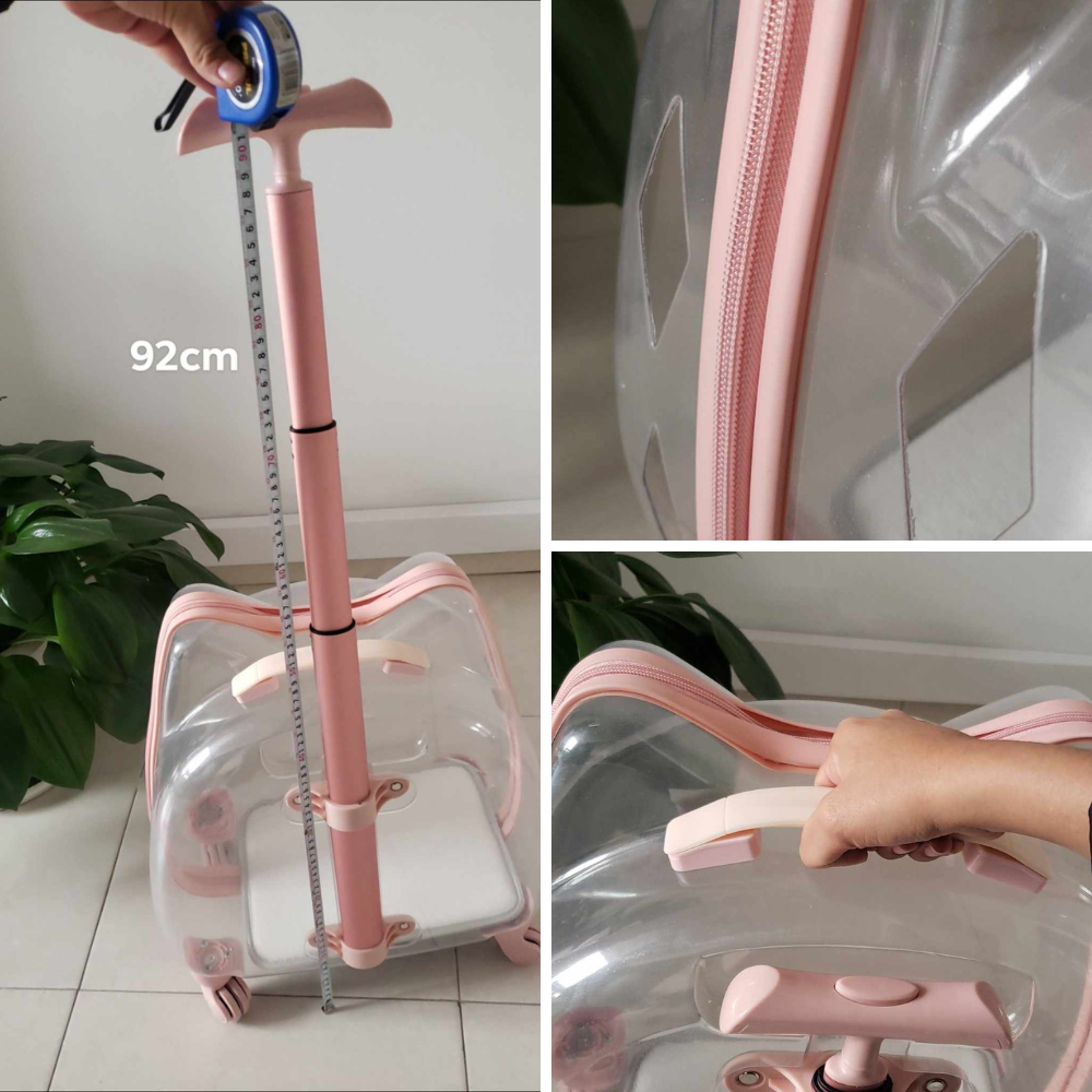 Maleta de Ruedas Transparente Gato en Forma de Gato Calabaza