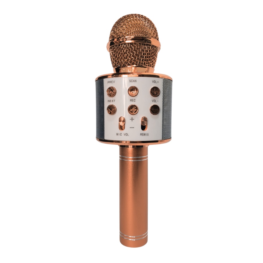 Micrófono Parlante Karaoke Bluetooth Portátil Inalámbrico