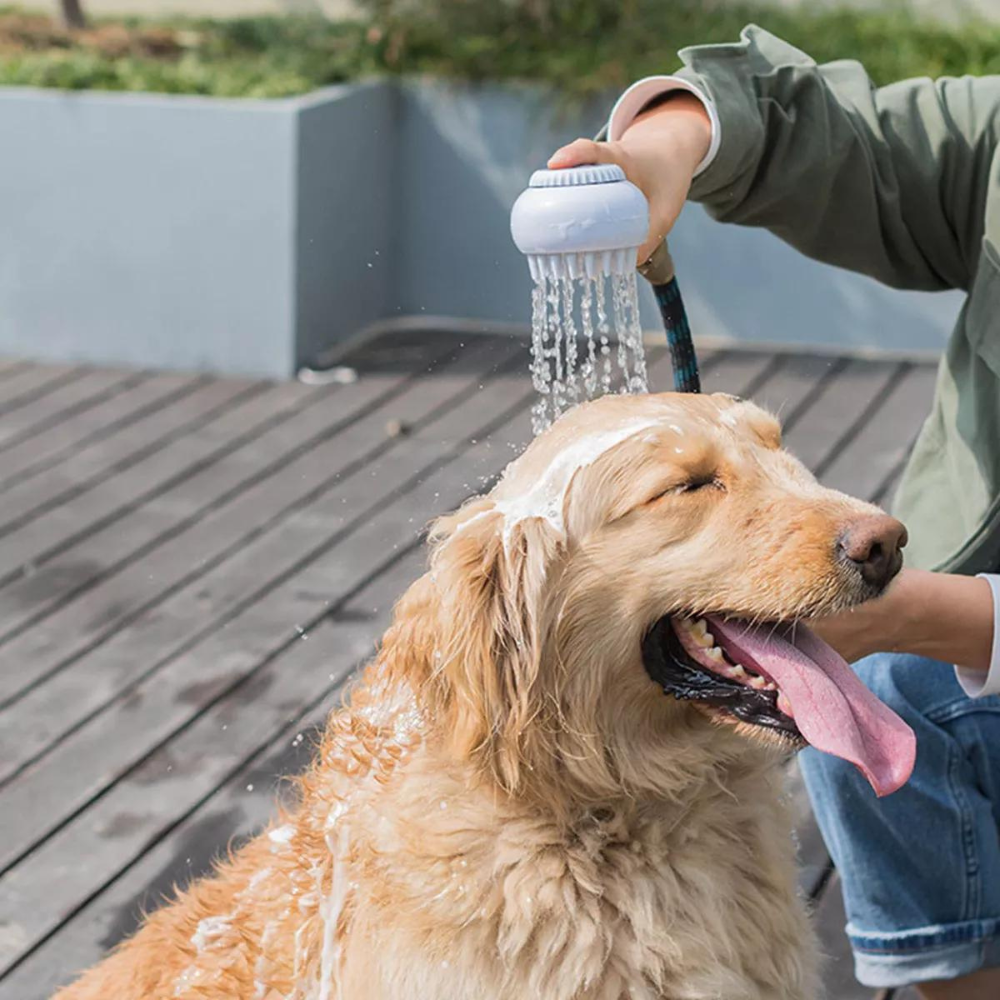 Cepillo de Baño Para Perro