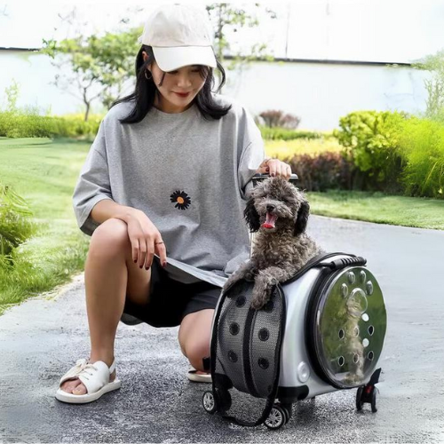 Maleta de Ruedas Transparente para Mascotas