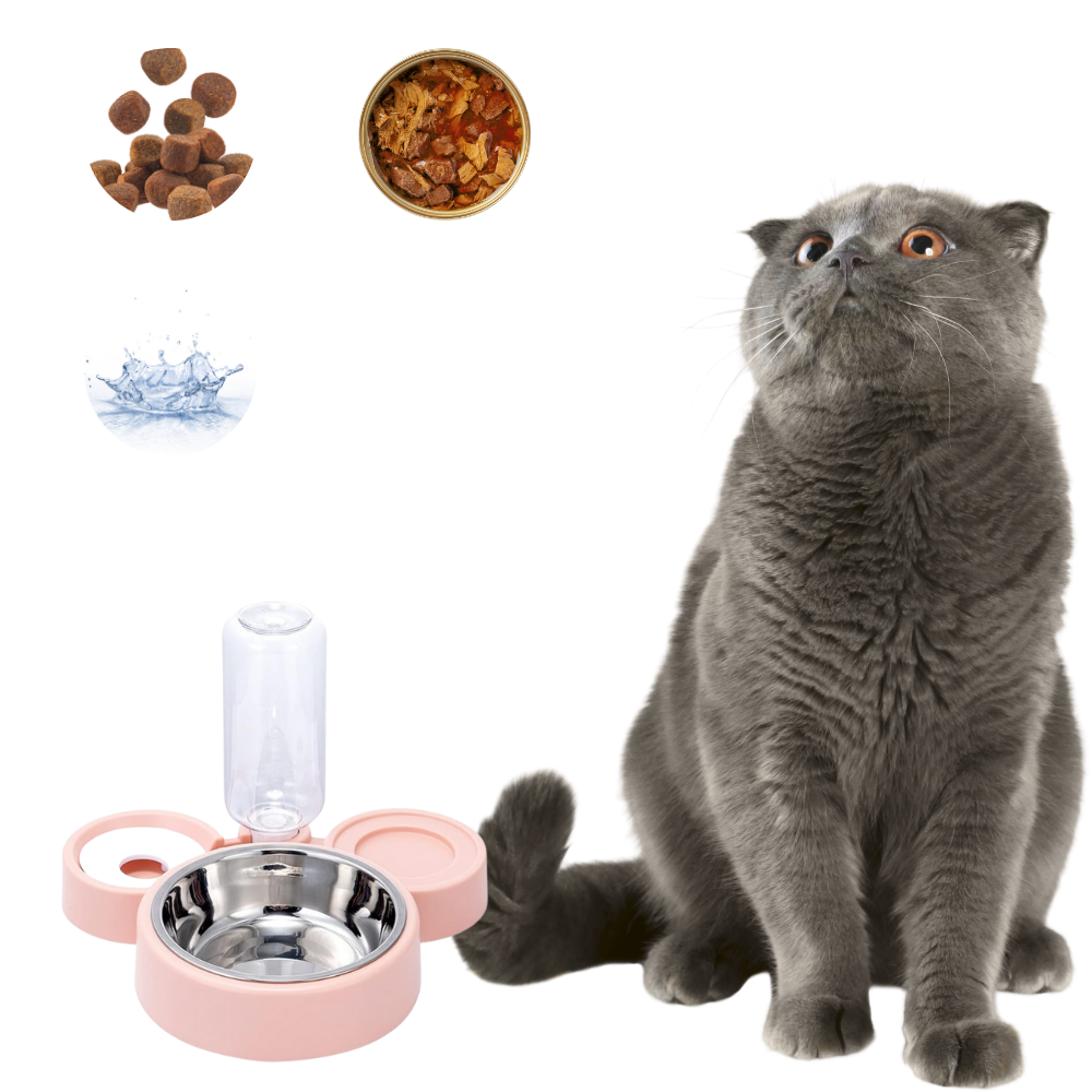Plato Comedero de Acero Inoxidable con Botella de Agua Mascotas