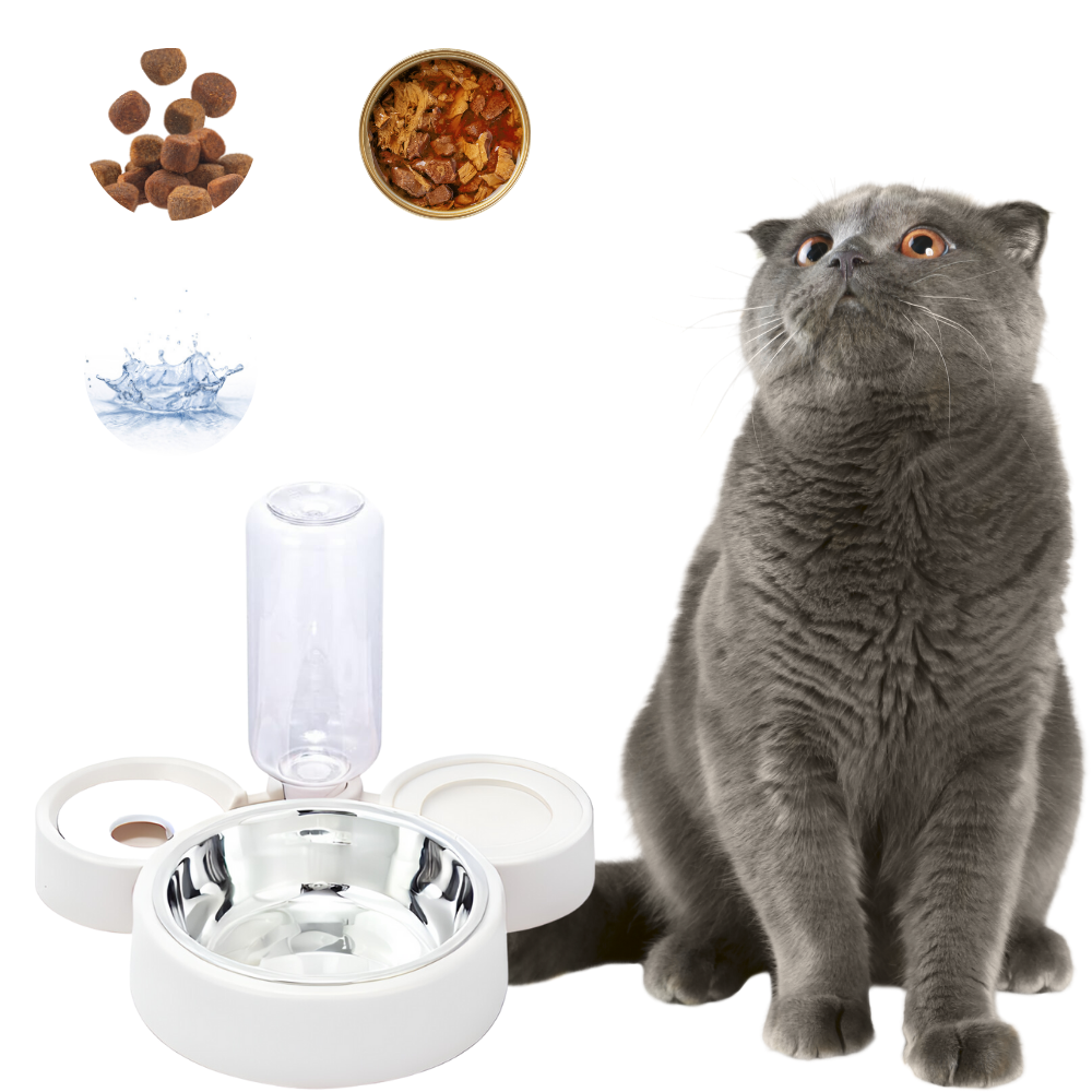 Plato Comedero de Acero Inoxidable con Botella de Agua Mascotas