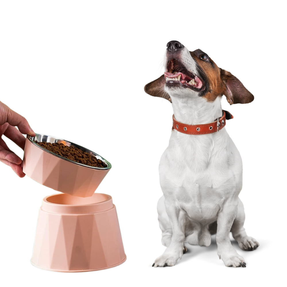 Plato de comida elevado para mascotas Acero Inoxidable