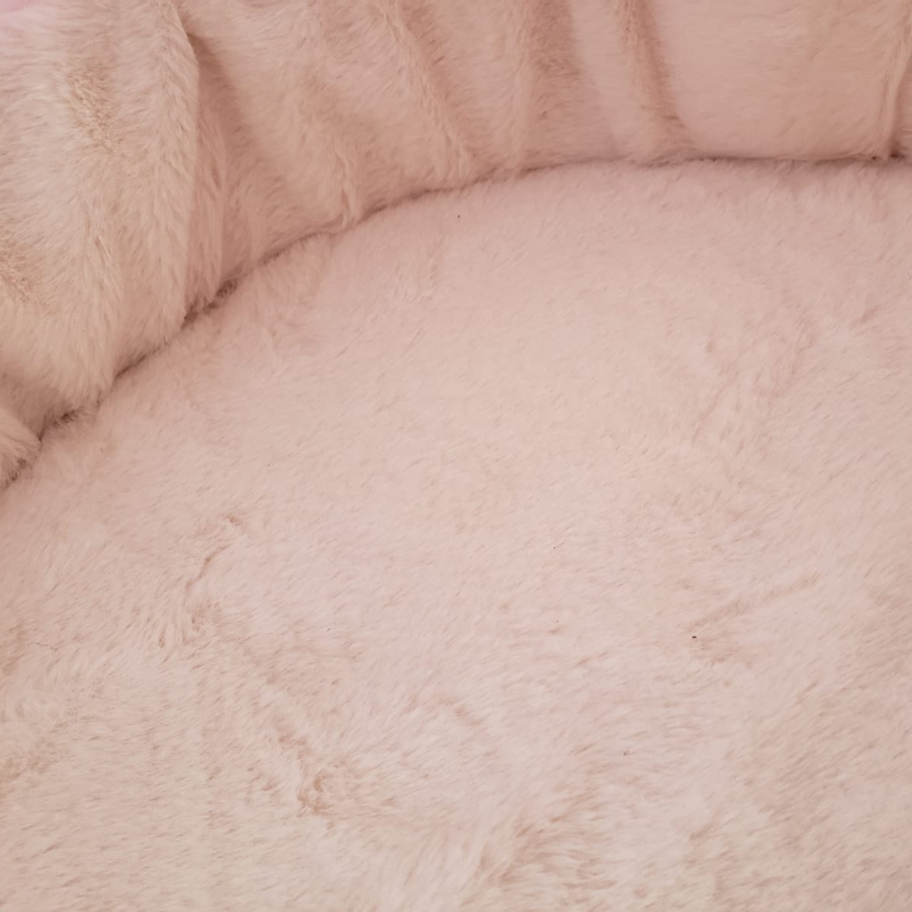 Capsula Cama Transporte para Gato