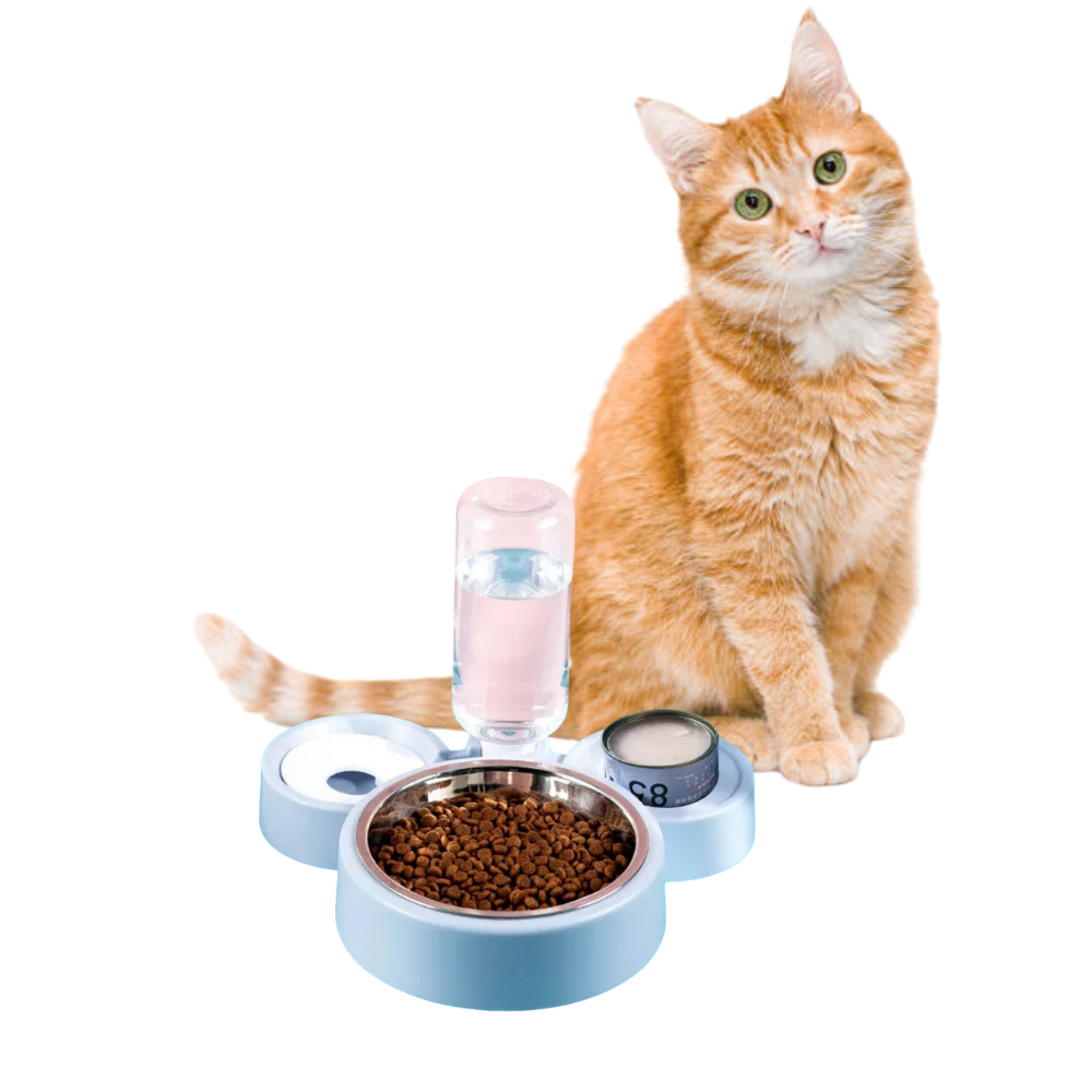 Plato Comedero de Acero Inoxidable con Botella de Agua Mascotas